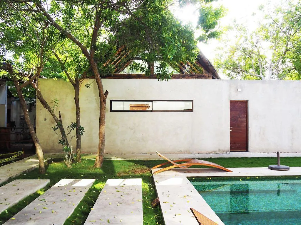 Aqua Viva Tulum Hotel